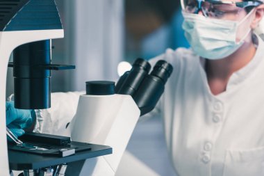Petri dish, teftiş mikrobiyolog bakteri büyüme gözlemleyerek