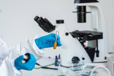 Kalite kontrol laboratuvarı curcuma, teftiş uzman
