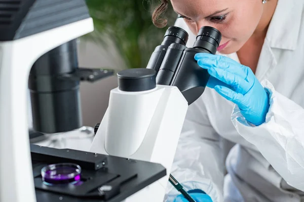 Experto Control Calidad Que Inspecciona Carne Laboratorio — Foto de Stock