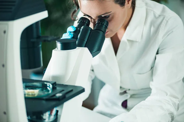 Esperto Controllo Qualità Che Ispeziona Formaggi Laboratorio — Foto Stock