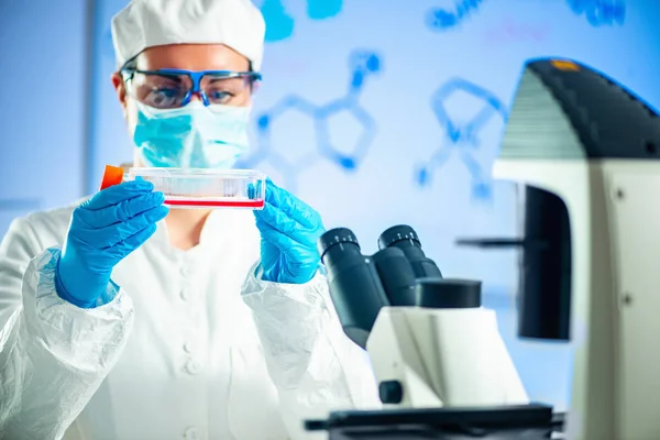 Cientista Trabalhando Laboratório Colocando Lâmina Microscópio Palco — Fotografia de Stock