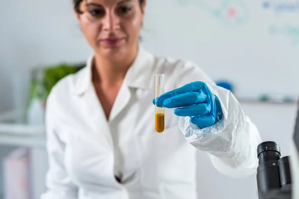 质量控制专家在实验室的姜黄检查 — 图库照片