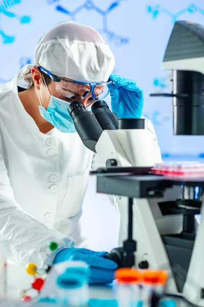 Biotechnology Engineer Inspecting Cell Culture Flask — Stock Photo, Image