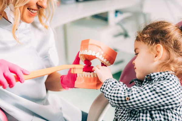 Маленька Дівчинка Стоматологічній Клініці Вчиться Чистити Зуби Правильно — стокове фото