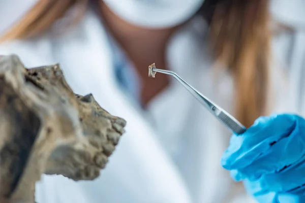 Primer Plano Del Investigador Que Trabaja Laboratorio —  Fotos de Stock