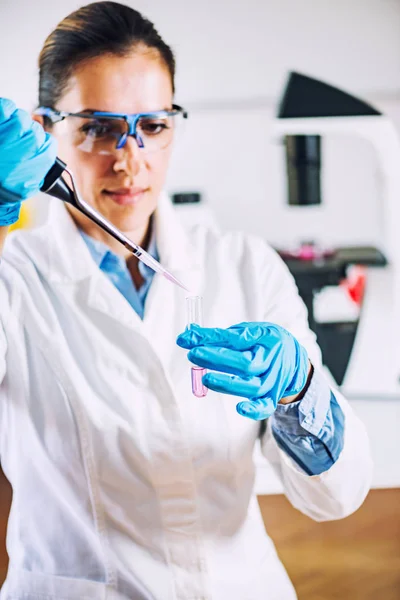 Laboratory Technician Micro Pipette — Stock Photo, Image