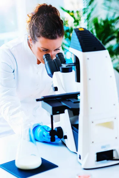 Perito Controlo Qualidade Examinando Leite Laboratório — Fotografia de Stock