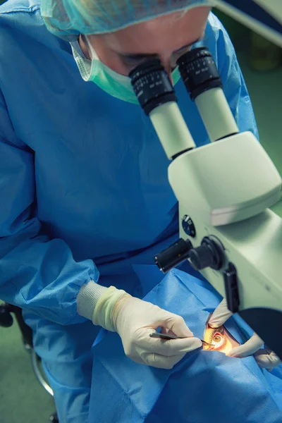 Operating Room Small Surgical Intervention — Stock Photo, Image