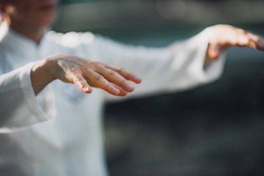 Tai Chi Quan parkta pratik kadın