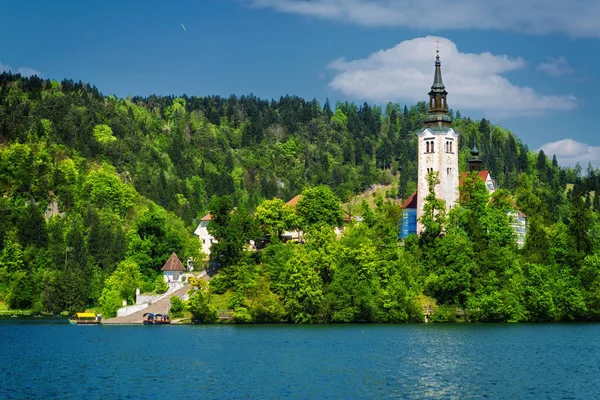 Lac Bled Avec Église Pèlerinage Assomption Marie Sur Petite Île — Photo