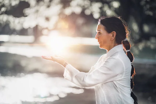 Mujer Practicando Tai Chi Quan Parque —  Fotos de Stock