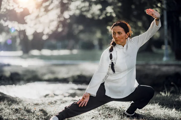 Mujer Practicando Tai Chi Quan Parque —  Fotos de Stock