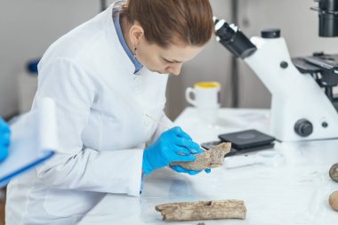 Antik boynuz aracıanaliz laboratuvargenç kadın arkeoloji araştırmacı.
