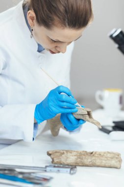Antik boynuz aracıanaliz laboratuvargenç kadın arkeoloji araştırmacı.