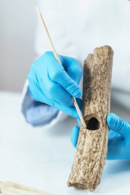 Laboratuvarda arkeoloji araştırmacısı antik araçları yeniden inşa.