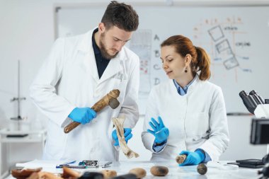 Laboratuvarda arkeoloji araştırmacıları antik araçların kullanımını yeniden yapılandırıyor. 