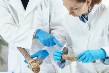 Laboratuvarda arkeoloji araştırmacıları antik araçların kullanımını yeniden yapılandırıyor. 