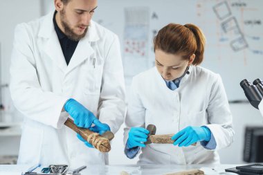 Laboratuvarda arkeoloji araştırmacıları antik araçların kullanımını yeniden yapılandırıyor. 