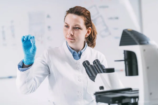 Arqueólogo Mirando Diapositiva Del Microscopio Raíz Del Diente Antiguo Laboratorio — Foto de Stock