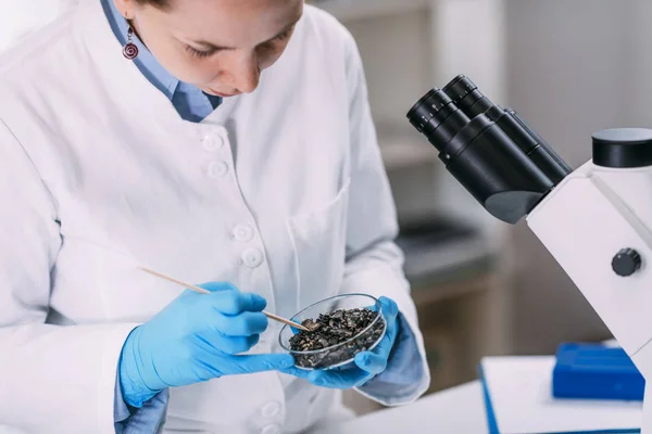 Retrato Joven Arqueólogo Analizando Madera Carbonizada Placas Petri — Foto de Stock