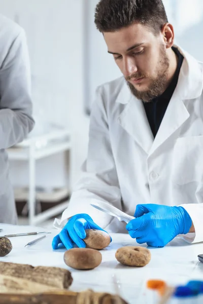 Archeoloog Het Analyseren Van Oude Artefacten Loom Gewicht Vissen Netto — Stockfoto