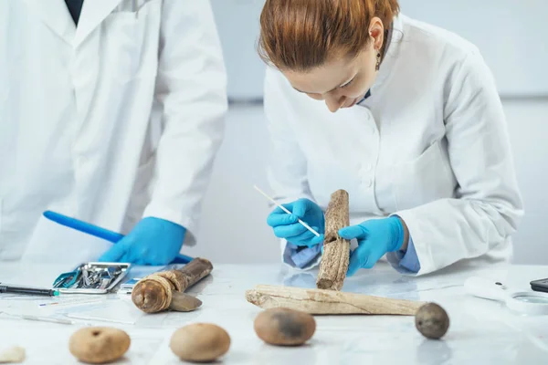 실험실에서 고고학 연구원은 도구의 사용을 재구성 — 스톡 사진