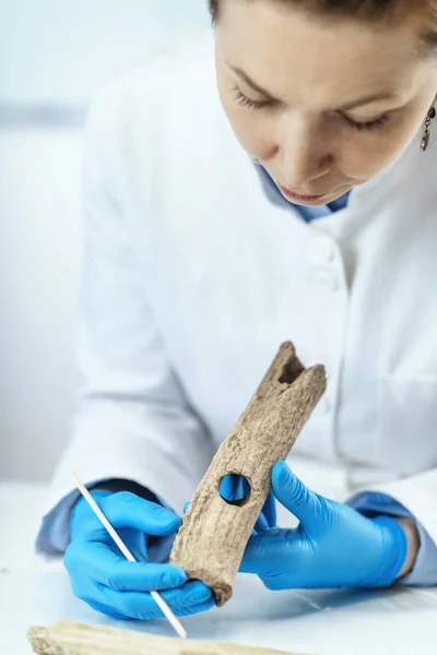 Investigador Arqueológico Laboratorio Reconstruye Herramientas Antiguas — Foto de Stock