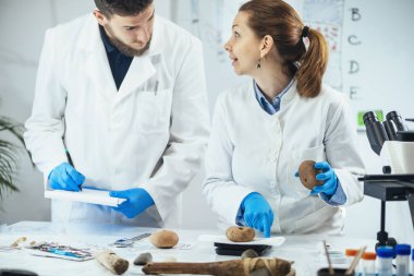 Antik eser dokuma tezgahı ağırlığını veya ağırlığını laboratuvarda dijital ölçekte balık ağı olarak ölçen arkeolog.