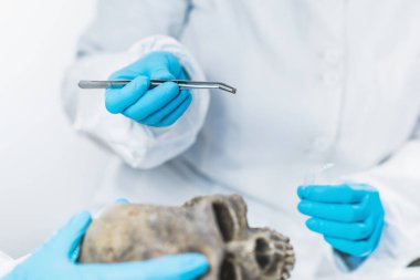 Biyoarkeoloji. Arkeolog DNA arkeoloji laboratuvarında insan kafatası analiz.