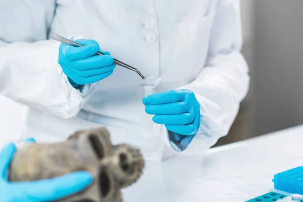 生物考古学Dna考古学研究室で人間の頭蓋骨を分析する考古学者 — ストック写真