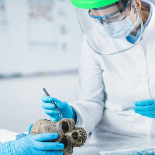Bioarchéologie Jeune Archéologue Analysant Crâne Humain Dans Ancien Laboratoire Adn — Photo