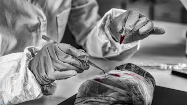 Laboratuvarda Adli Tıp. Adli tıp uzmanı kan izleri olan kumaşı inceliyor. 