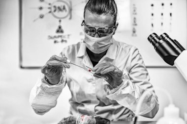 Laboratuvarda Adli Tıp. Adli tıp uzmanı kan izleri olan kumaşı inceliyor. 