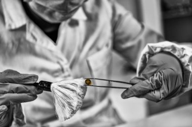 Adli Tıp Laboratuvarda. Adli tıp teknisyeni mermi kovanını inceliyor.