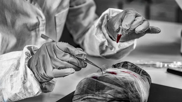 Laboratuvarda Adli Tıp. Adli tıp uzmanı kan izleri olan kumaşı inceliyor. 