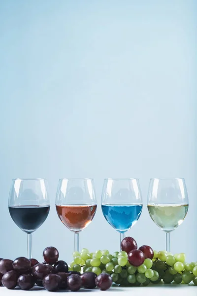 Assortimento Vini Quattro Bicchieri Con Diversi Tipi Vino Uva Tavola — Foto Stock