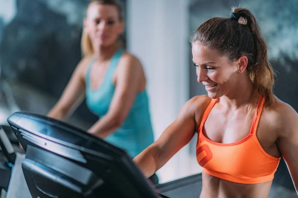 Woman exercising Chest press workout Stock Photo by ©microgen