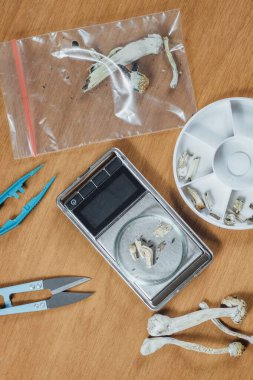 Mikrodoz sihirli mantarlar. Dijital cep ölçeğinde günlük mikro dozda sihirli mantar ölçümü.. 