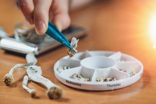 Micro Dosering Met Psilocybin Magic Mushrooms Dagelijkse Micro Doses Een — Stockfoto