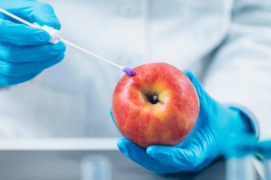 Gıda Güvenliği Böcek İlacı ve Elma Testi Laboratuvarında. Biyokimyacı, elma meyvelerinde böcek ilacı ve nitrat arıyor.  