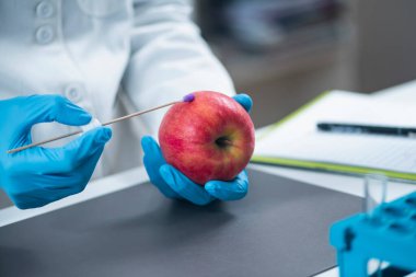 Gıda Güvenliği Böcek İlacı ve Elma Testi Laboratuvarında. Biyokimyacı, elma meyvelerinde böcek ilacı ve nitrat arıyor.  