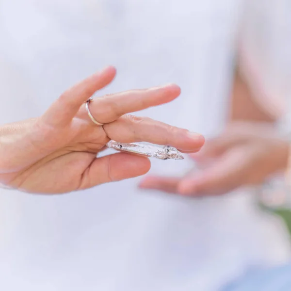 Female Crystal Healing Spiritual Therapist Holding White Polished Selenite Crystal — Stock Photo, Image