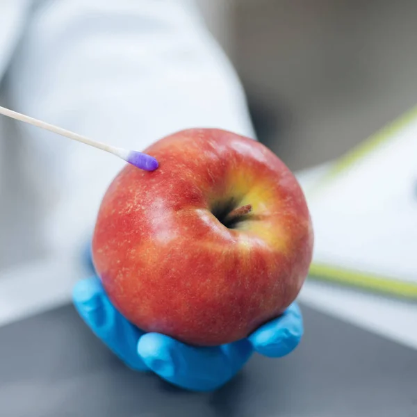 Livsmedelssäkerhet Bekämpningsmedel Och Nitrattest Äpplen Laboratorium Biokemist För Förekomst Bekämpningsmedel — Stockfoto