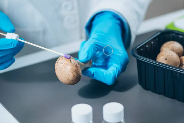 Seguridad Alimentaria Análisis Plaguicidas Hongos Laboratorio Bioquímico Busca Presencia Plaguicida — Foto de Stock