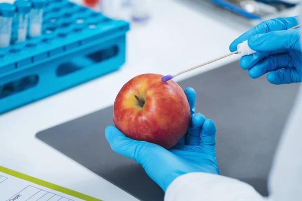 Seguridad Alimentaria Pruebas Plaguicidas Nitrato Manzanas Laboratorio Bioquímico Busca Presencia — Foto de Stock