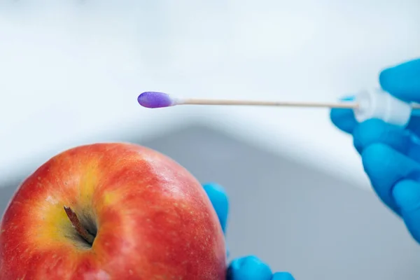 Analyse Des Résidus Pesticides Dans Les Fruits Pomme Analyse Laboratoire — Photo