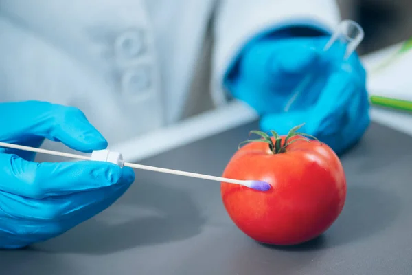 Лабораторный Анализ Безопасности Пищевых Продуктов Биохимик Ищет Присутствие Пестицидов Помидорах — стоковое фото