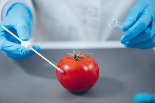 연구소 토마토에 살충제가 있는지 생화학 — 스톡 사진