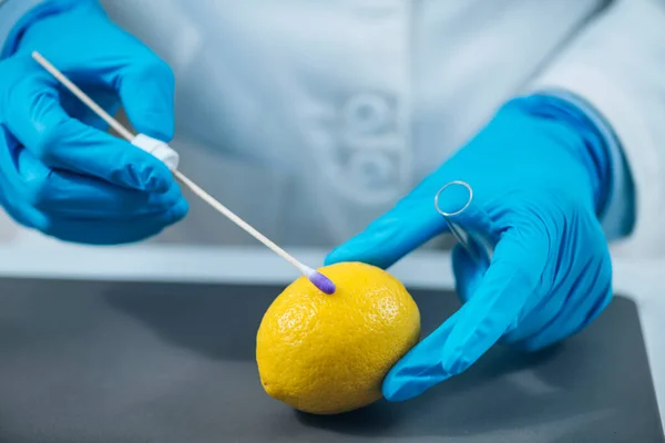 Experte Für Lebensmittelkontrolle Untersucht Zitrusfrüchte Labor Auf Anwesenheit Von Tiabendazol — Stockfoto