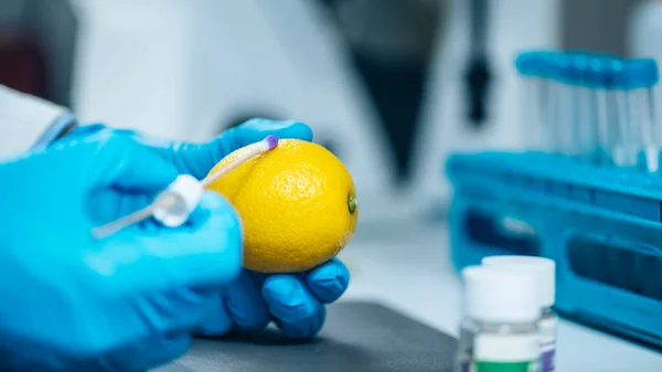 Experto Control Calidad Alimentos Examinando Cítricos Limón Laboratorio Probando Presencia — Foto de Stock